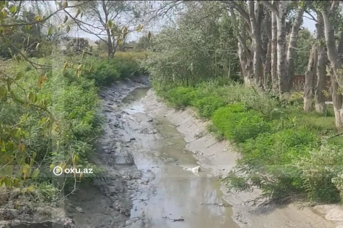 Экологическая катастрофа в Азербайджане: один из рукавов Куры пересыхает