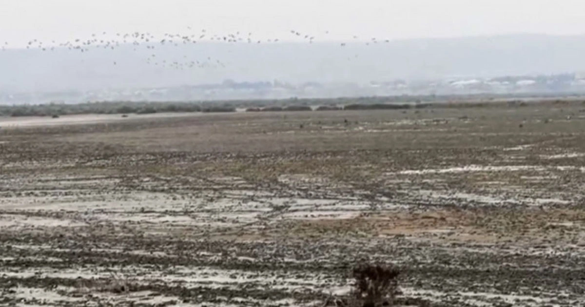 Одно из крупнейших озер Азербайджана высыхает: экологи бьют тревогу