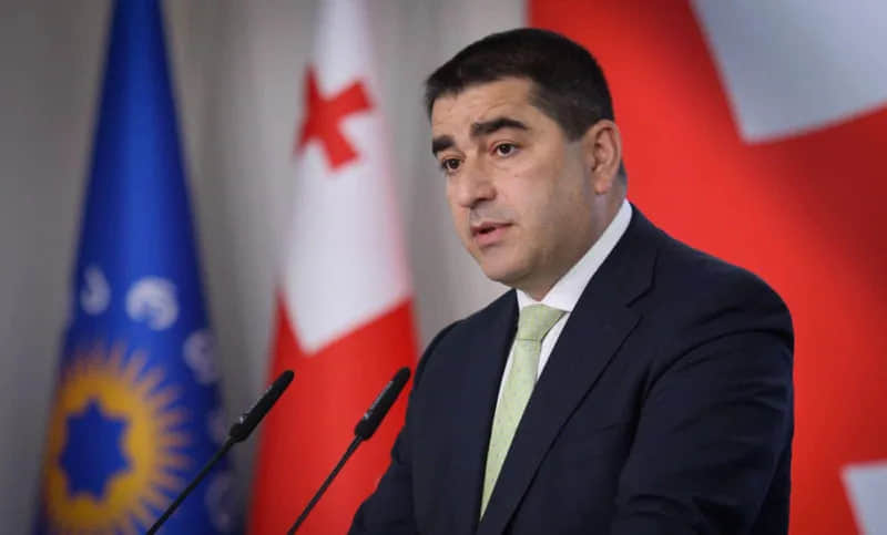 Граждане Грузии не смогут голосовать за рубежом