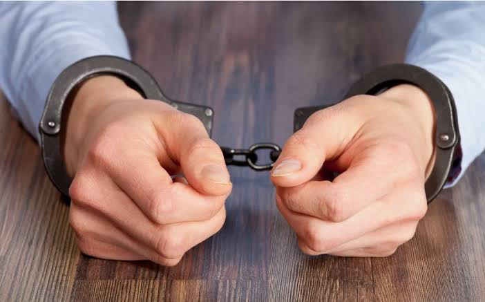В Грузии задержан гражданин Турции, разыскиваемый по линии Интерпола
