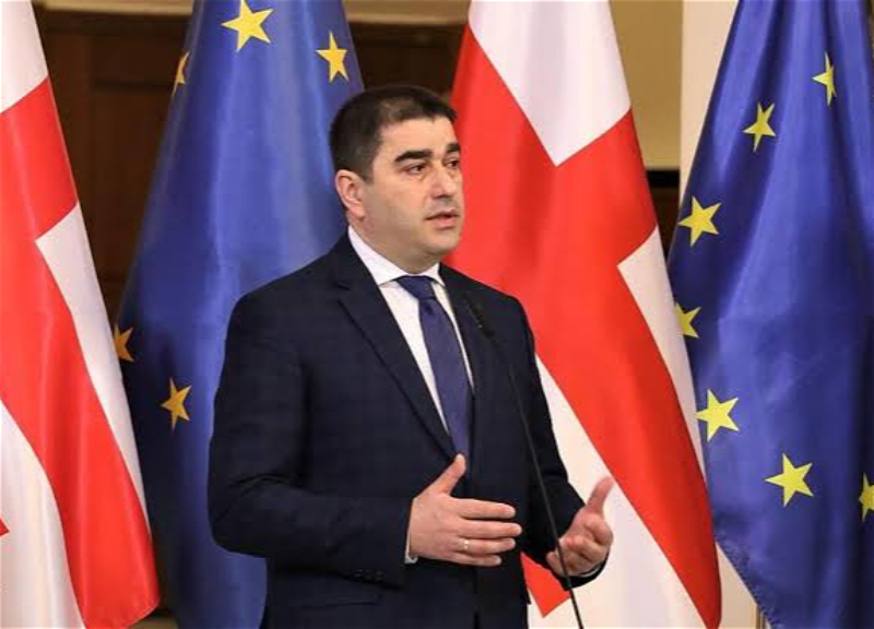 Шалва Папуашвили назвал мирный процесс между Баку и Ереваном обнадеживающим
