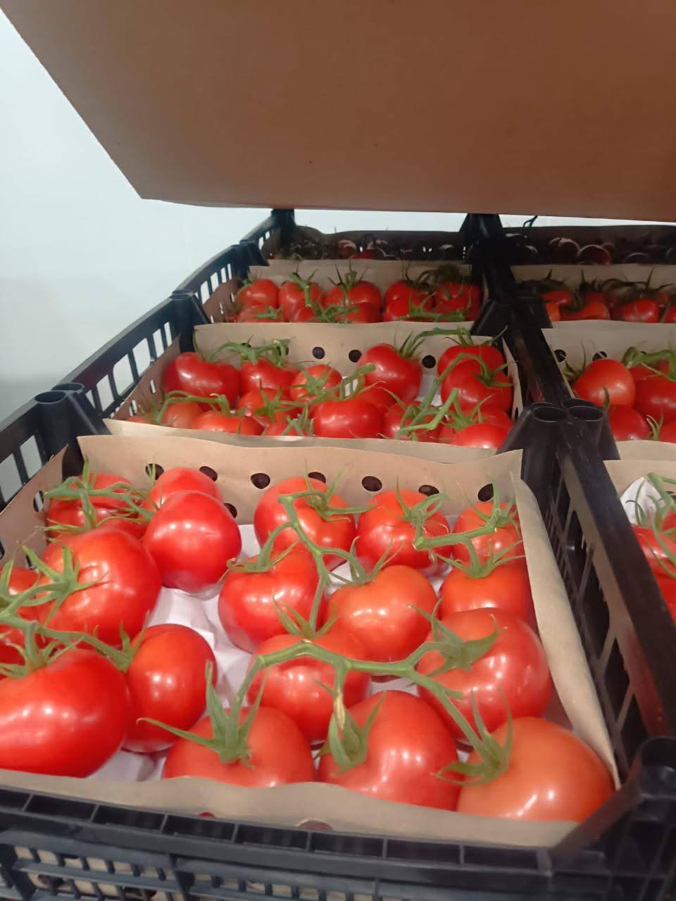 В Грузию прибыли первые партии армянской сельскохозяйственной продукции