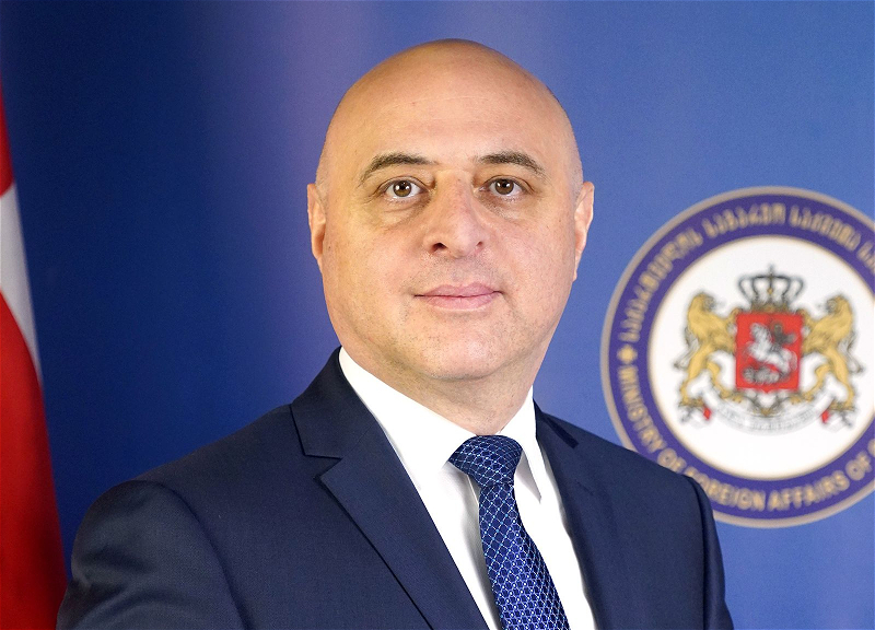 Грузия назначила нового посла в Азербайджан
