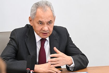 Шойгу раскрыл планы Запада по Грузии и Армении